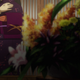 Illustration for article titled iShowa Genroku Rakugo Shinju/i Episode 04
